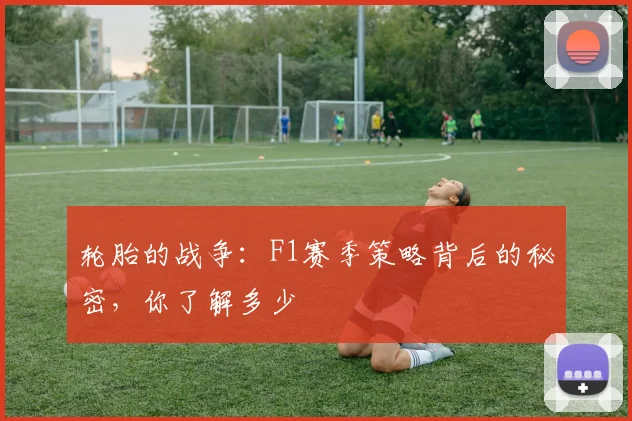 轮胎的战争：F1赛季策略背后的秘密，你了解多少